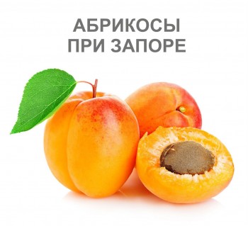 abrikosy-pri-zapore
