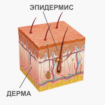 termicheskie-ozhogi-6