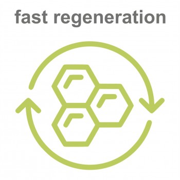 fast-regeneration