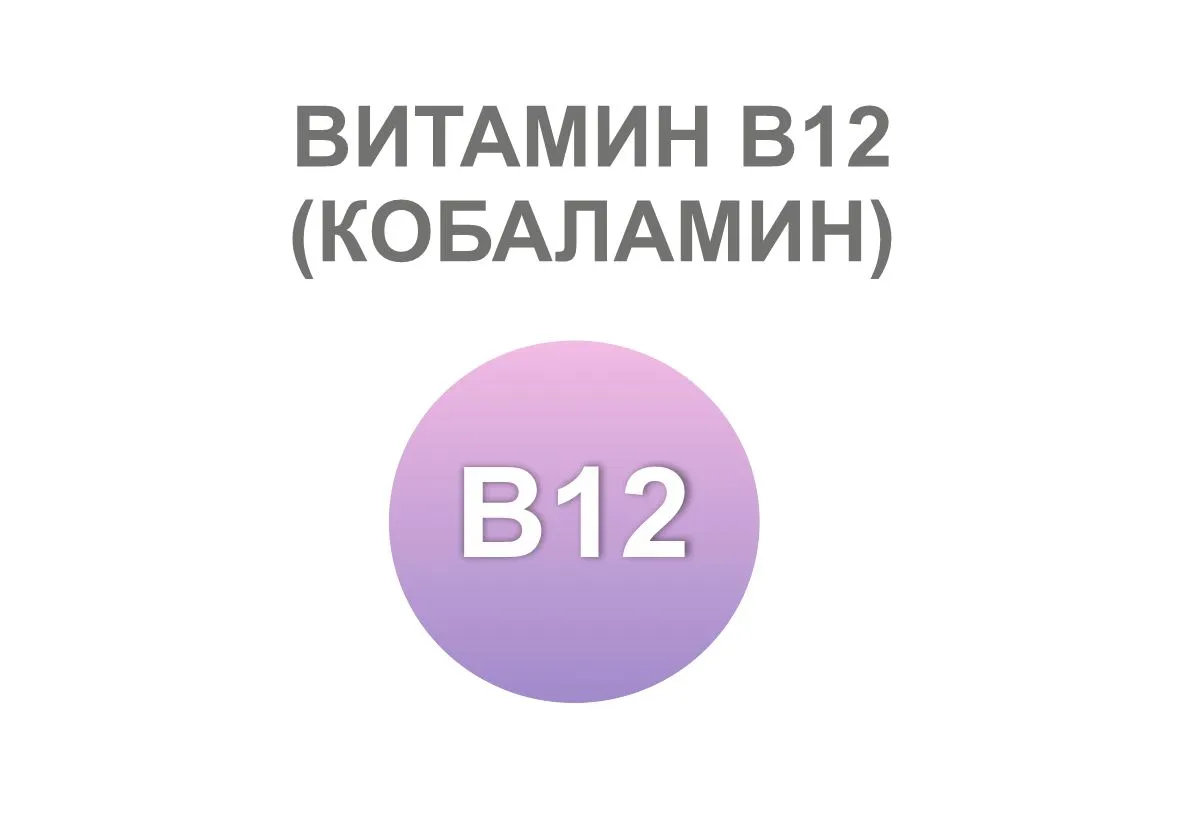 Витамин В12: для чего нужен и где содержится Витамин В12: для чего нужен и где содержится