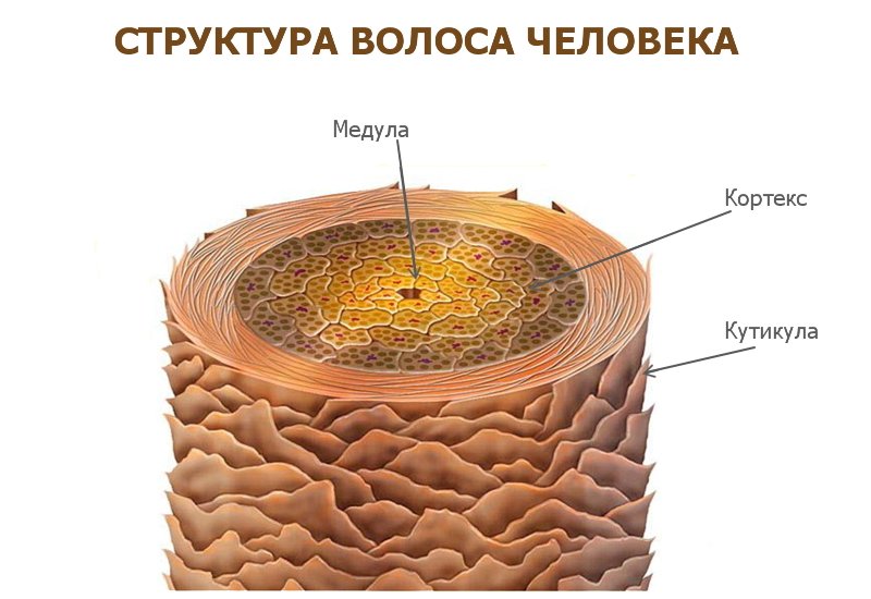 Витамины для волос