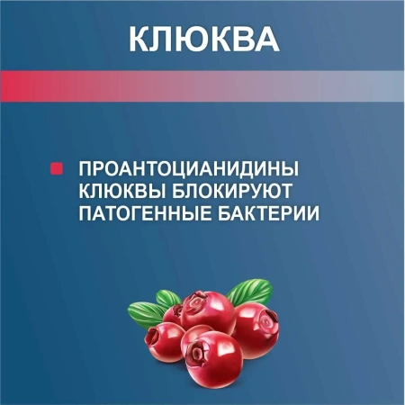 AQUACYST напиток