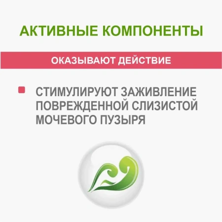 УРОЛАЙФ НЕКСТ 2000 